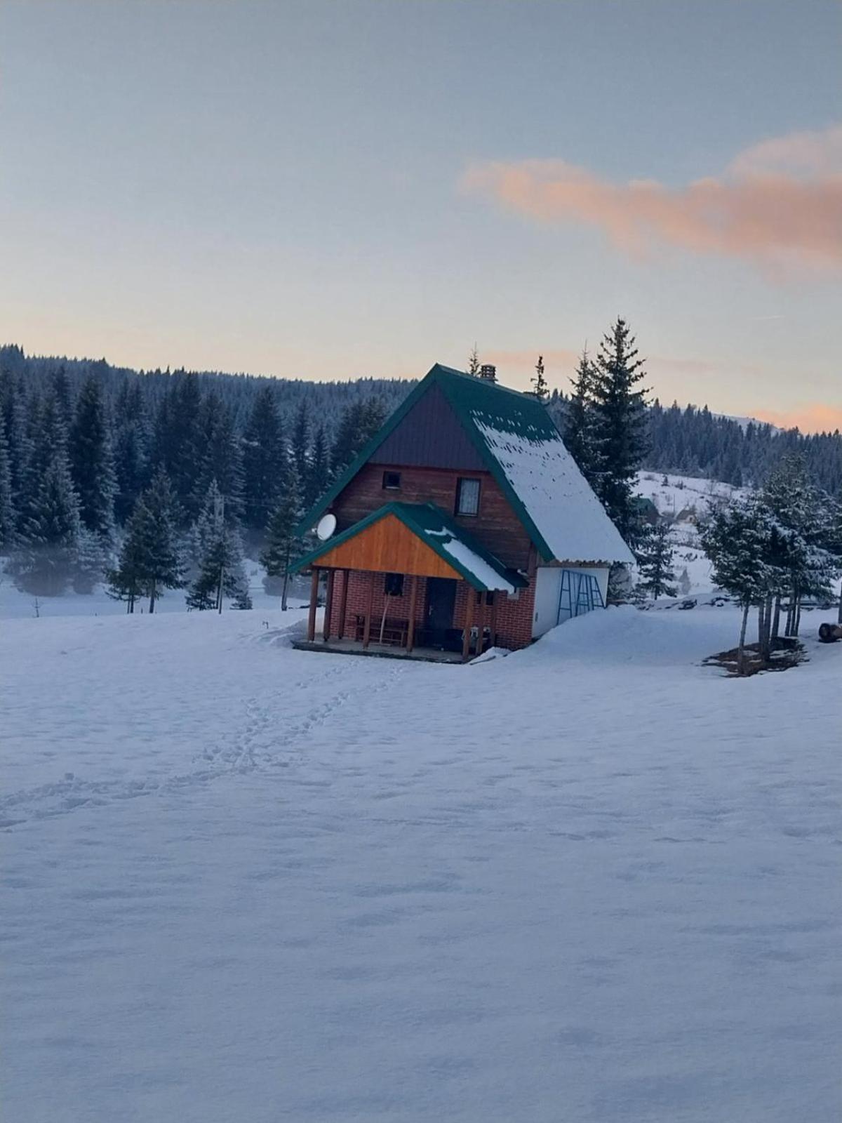 House In Forest Zabljak  Exterior photo