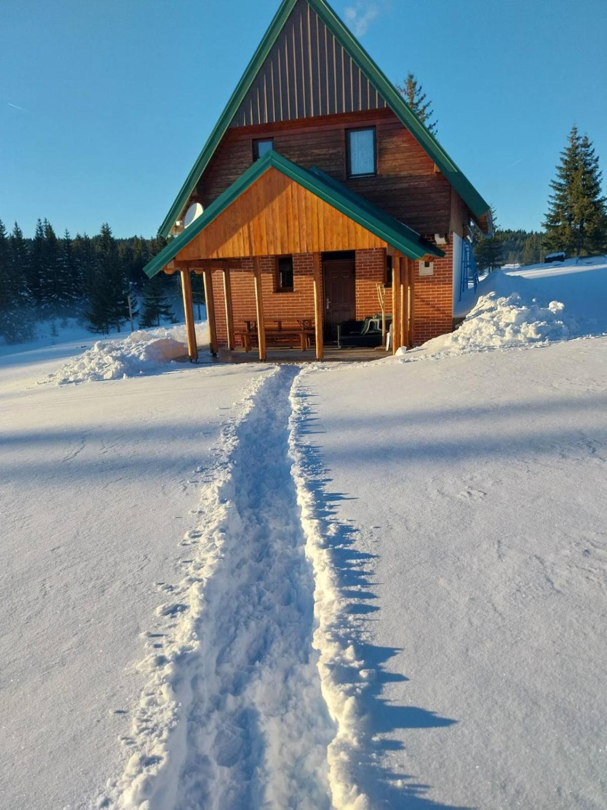 House In Forest Zabljak  Exterior photo