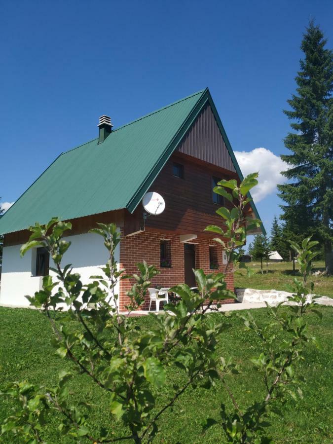 House In Forest Zabljak  Exterior photo