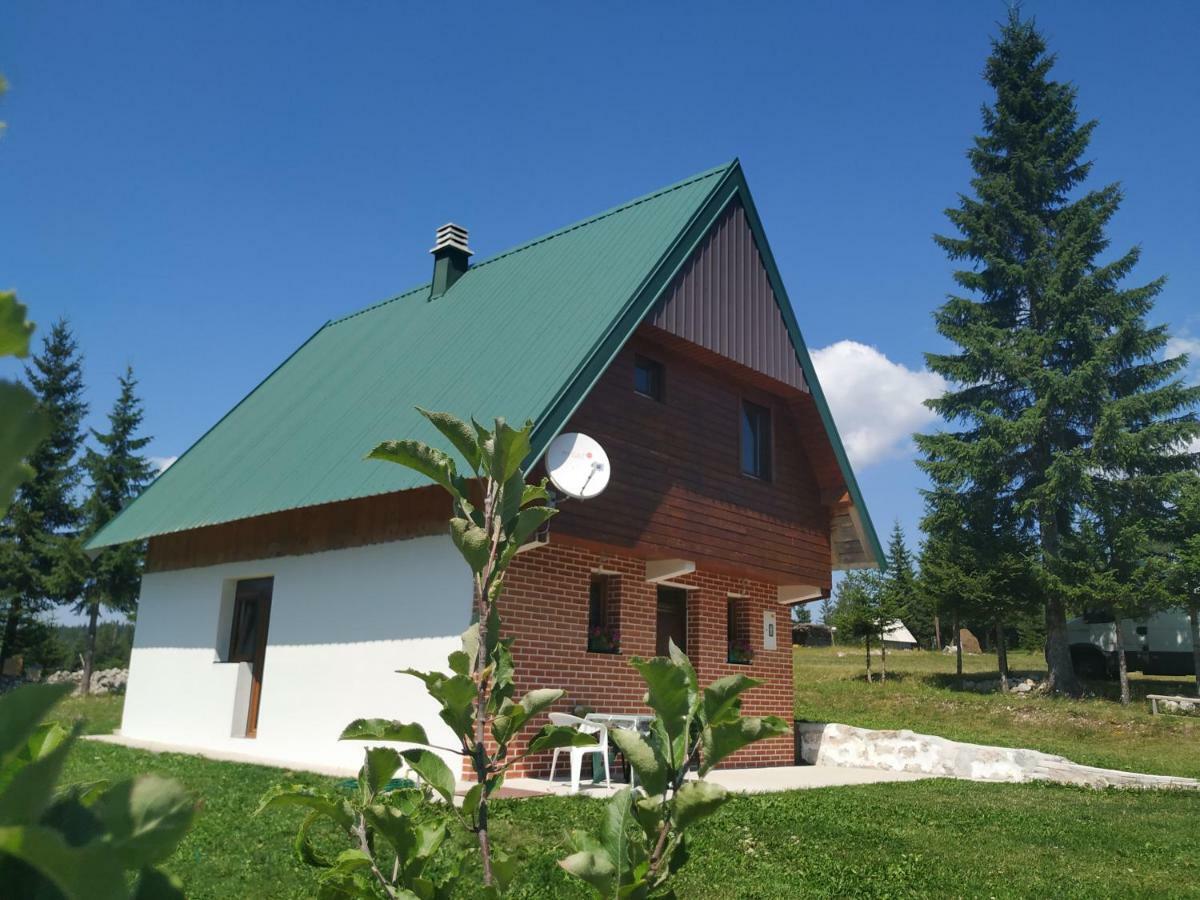 House In Forest Zabljak  Exterior photo