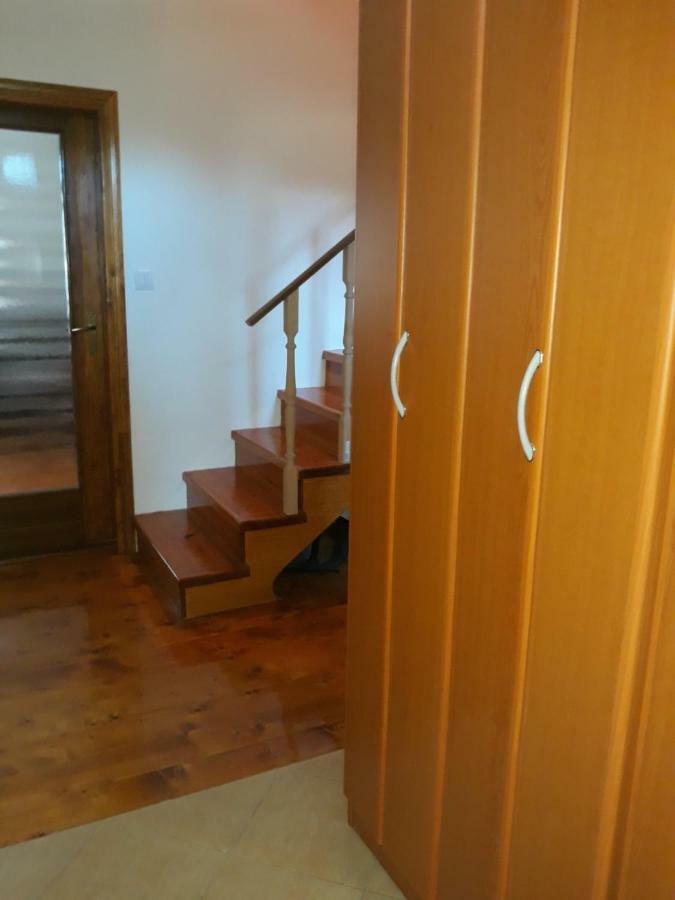 House In Forest Zabljak  Exterior photo