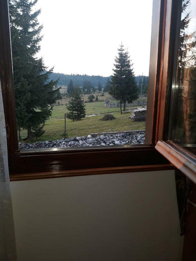 House In Forest Zabljak  Exterior photo